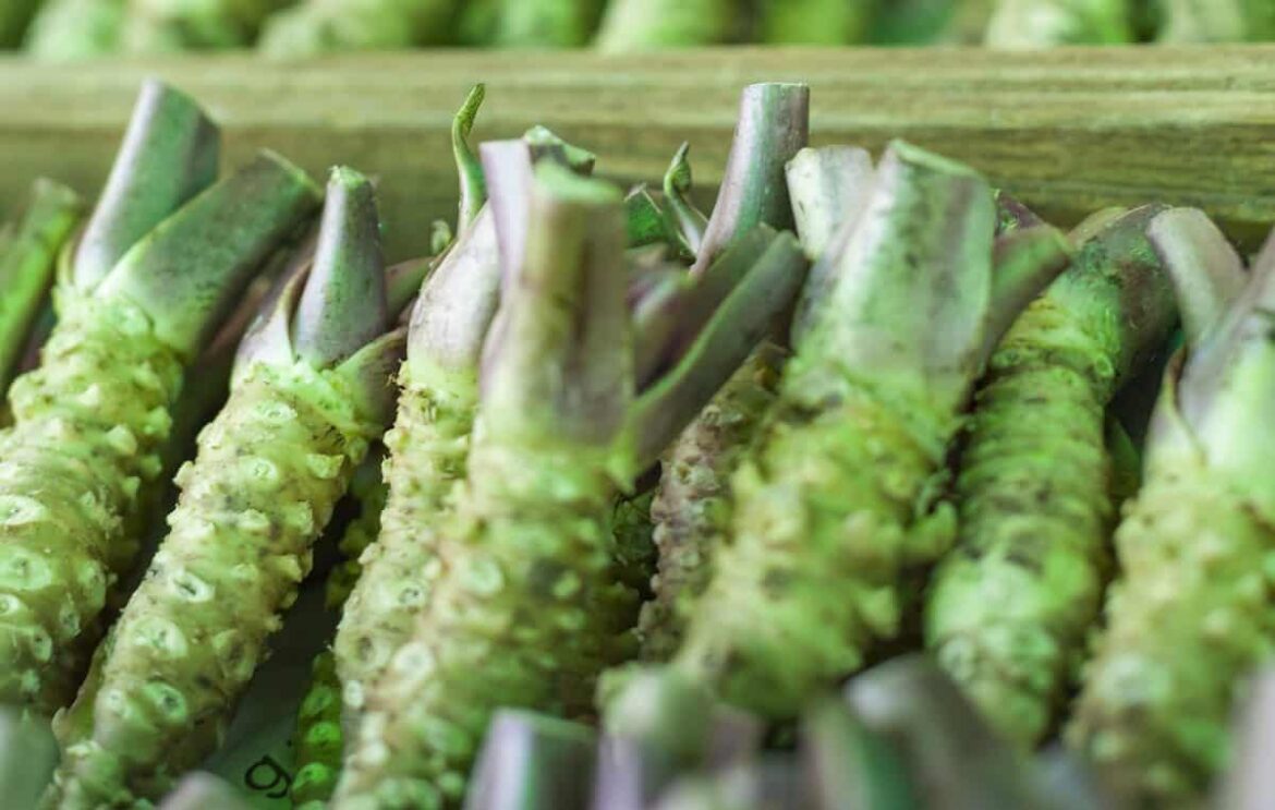 İyi Bir Wasabi Alternatifi Nedir?