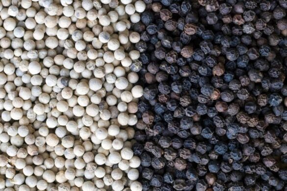 Black Pepper Vs. White Pepper