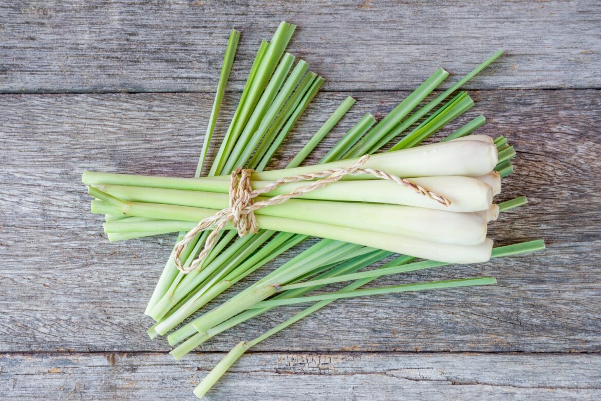Lemongrass uses
