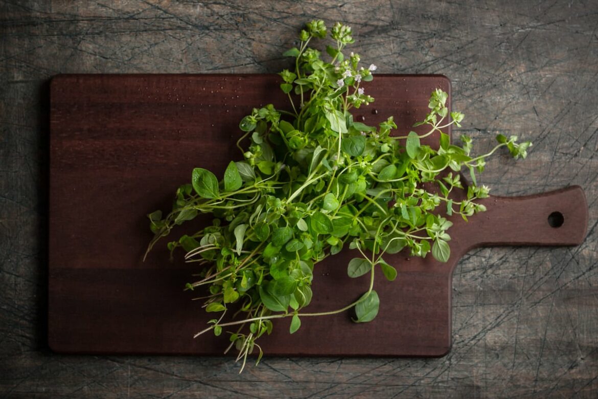 Devamını oku Too Much Oregano