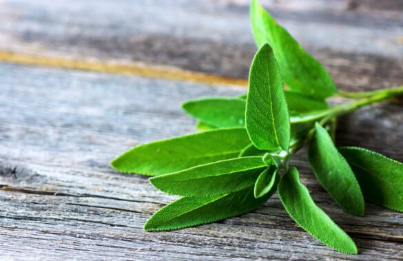 good herbs for inflammation