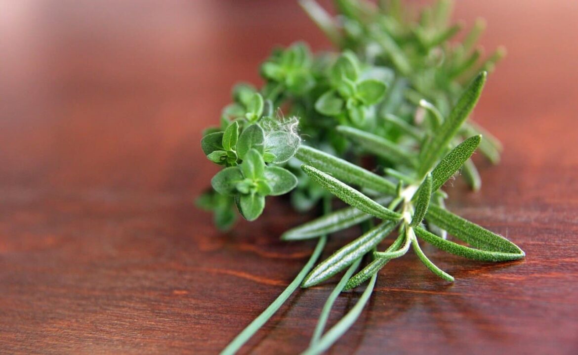 Rosemary Substitute
