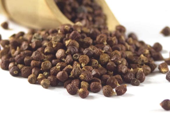 Grains of paradise substitute