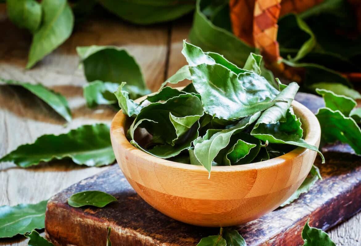 İyi Bir Defne Yaprağı Yerine Geçen Nedir? Bay Leaf Substitute