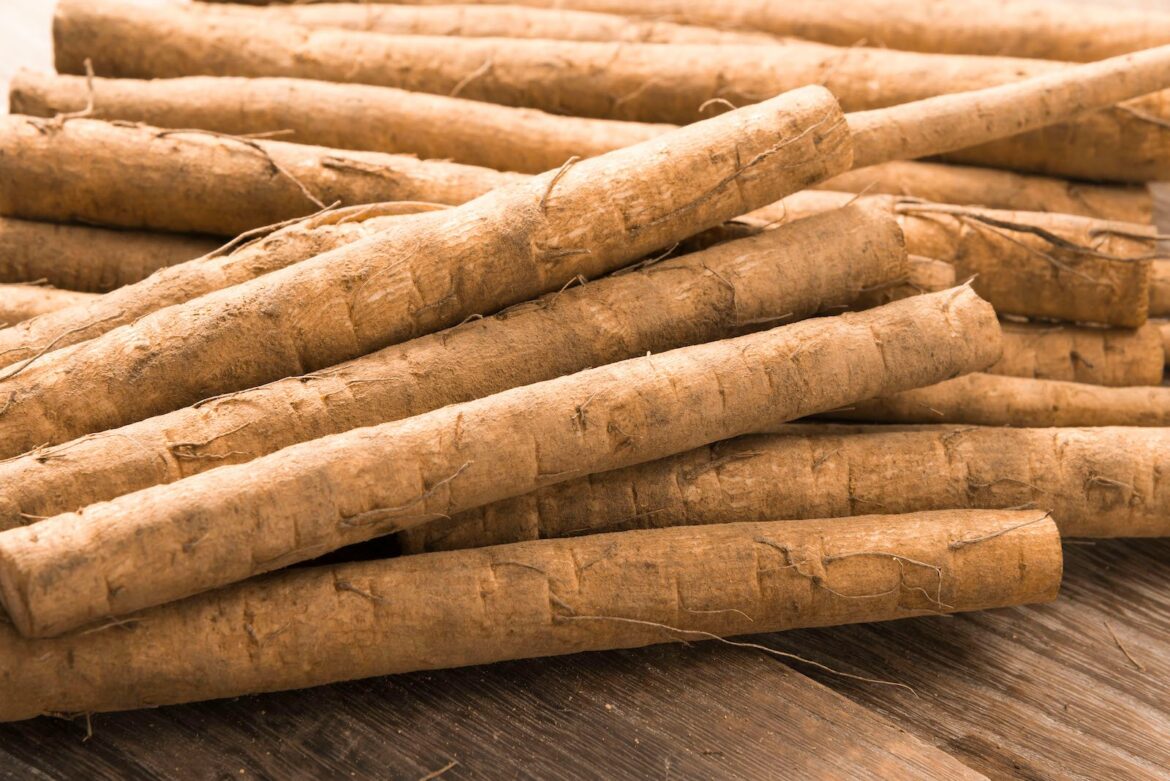 Burdock root substitute