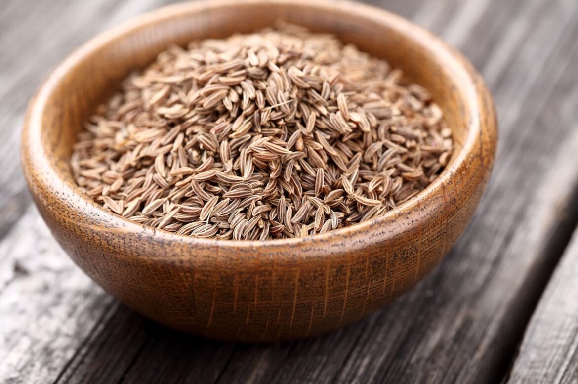 Caraway seed substitute