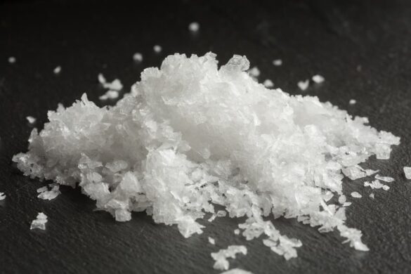 Maldon salt substitute