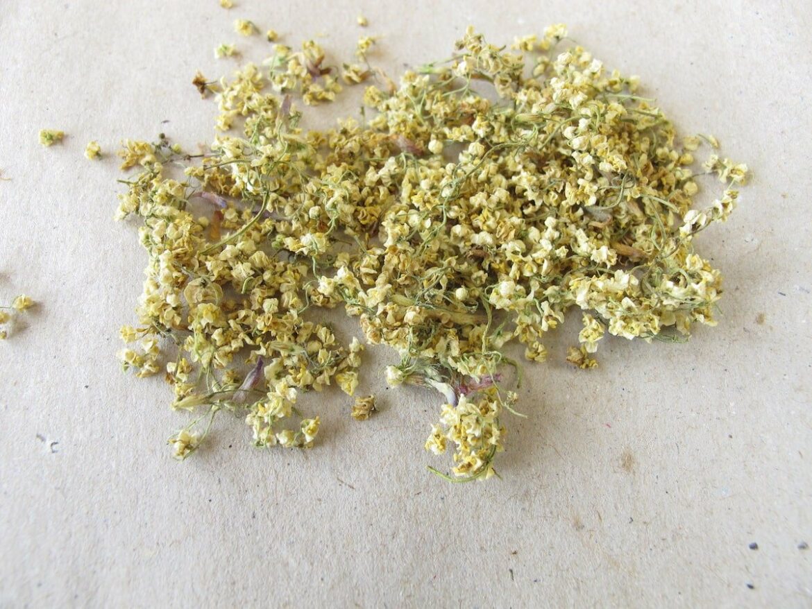 Elderflower Substitute