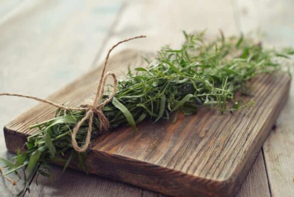 Tarragon Substitute