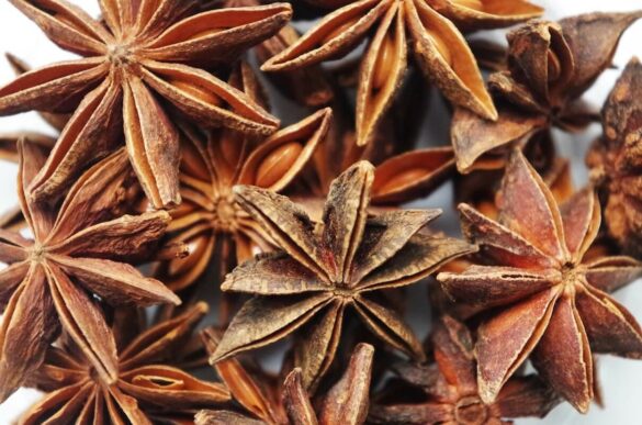 Star Anise Substitute