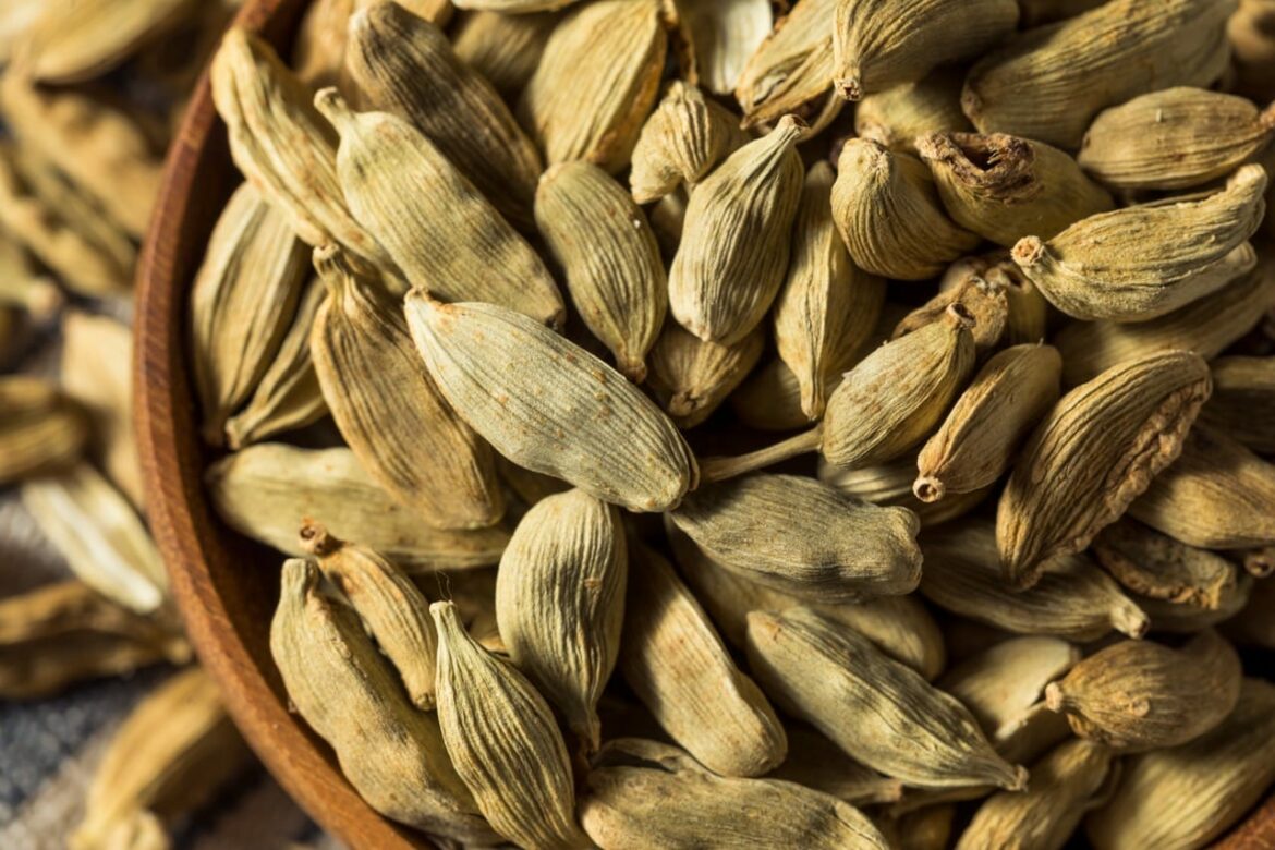 Cardamom