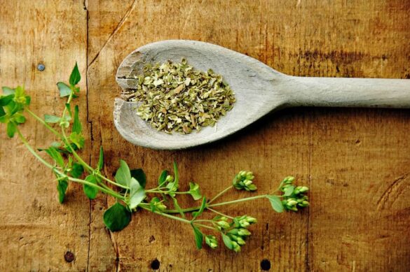 Fresh Oregano Vs Dried