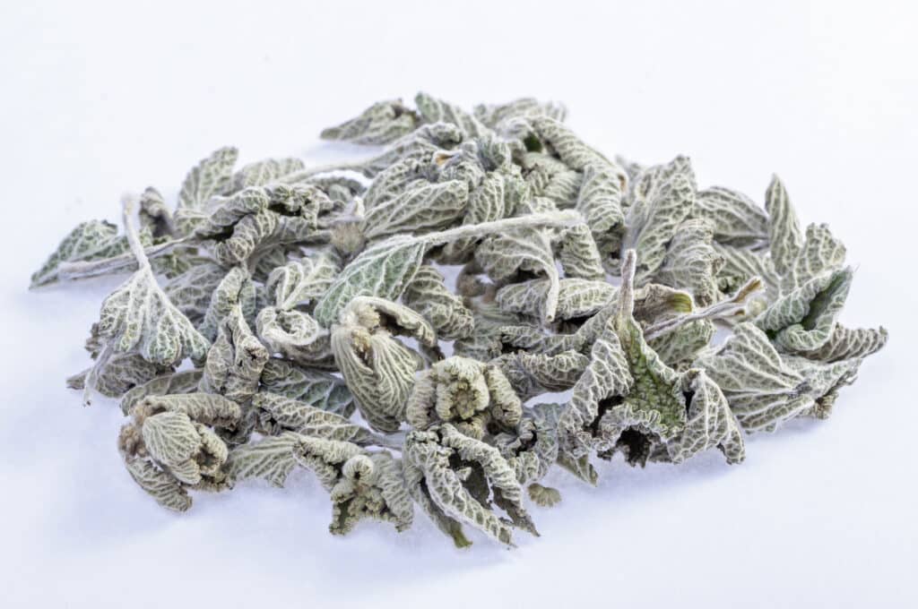 Horehound kullanımları