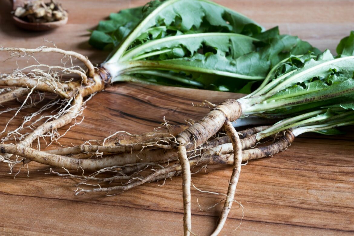 Dandelion root vs milk thistle