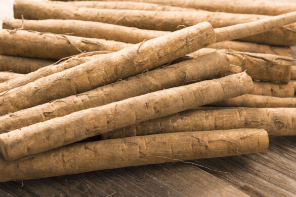 Burdock root substitute