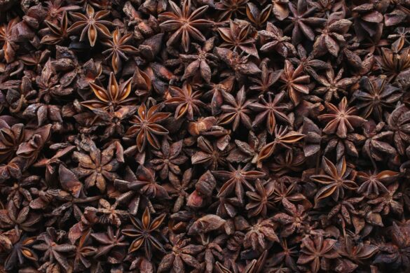 Star anise uses