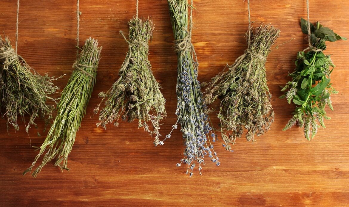 En iyi lezzet için otlar nasıl rehidrasyon yapılır How to rehydrate herbs