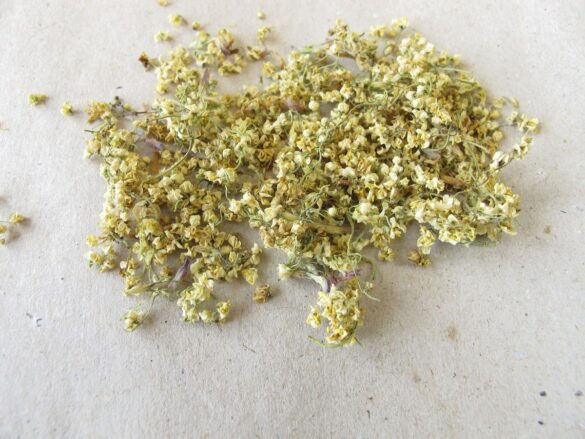 Elderflower Substitute