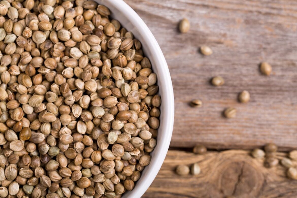 hemp seed substitute