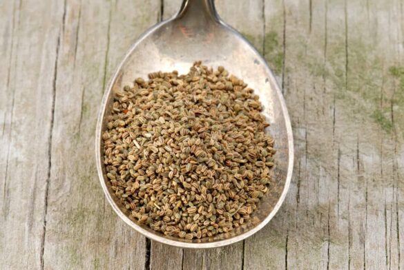 Celery Seed Substitute