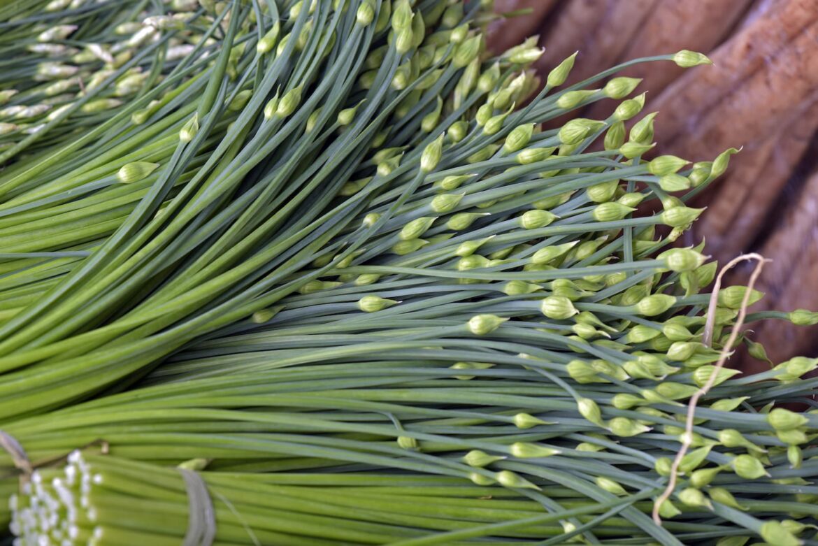 Garlic chives substitute