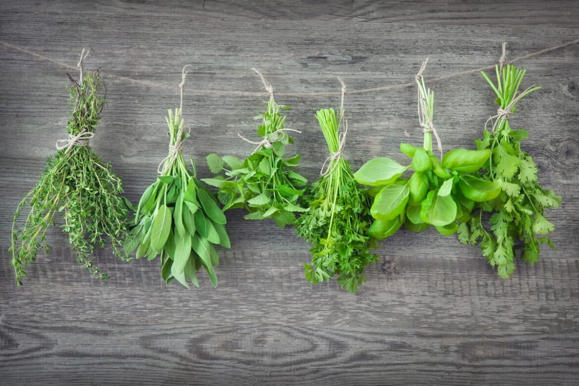 İyi bir yaz tuzlu ikamesi nedir? Summer Savory Substitute