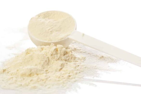 egg white powder substitute