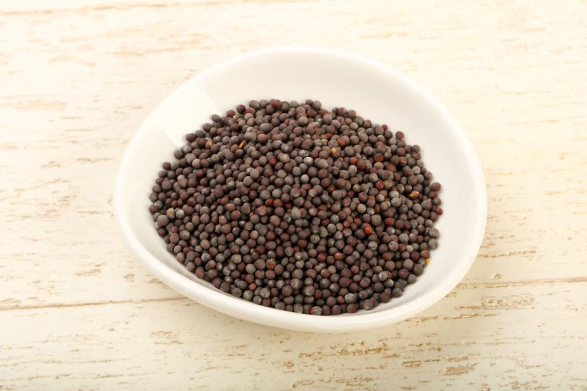 Black mustard seed substitute